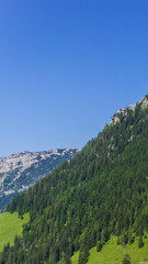 Fototapeta na wymiar Smartphone HD wallpaper of beautiful alpine view at the Jenner - Berchtesgaden - Bavaria