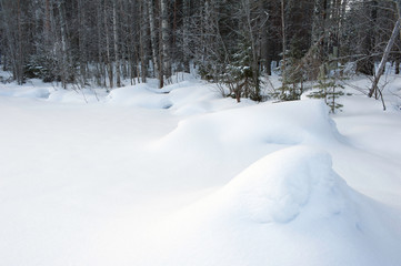 Wind blown snow at lake shore.