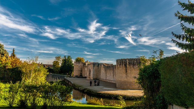 Chateau de Brie Comte Robert