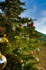 Decorated Christmas tree in the forest