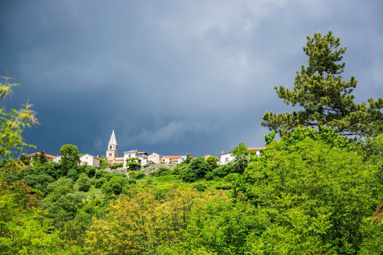 Rozzo 이미지 찾아보기 57 스톡 사진, 벡터 및 비디오 Adobe Stock