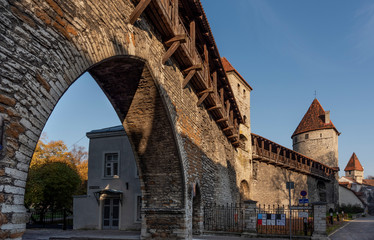 Fototapeta na wymiar Tallinn fortress wall