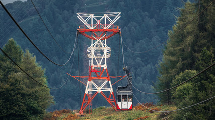 OLYMPUS DIGITAL CAMERA © Robert