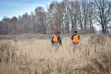A process of hunting during hunting season, process of partidge hunting, two hunters in signal cloth in field.