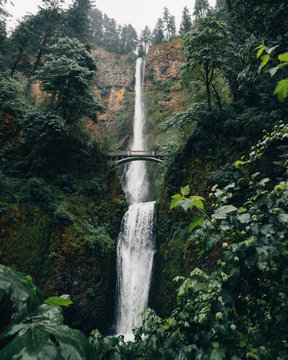 Multnomah falls green leaves after rain