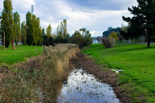 Natureza do campo