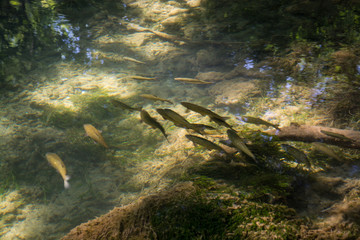 Nationalpark Krka, Kroatien