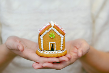 Fototapeta premium female hands holding a homemade cookie and icing christmas house