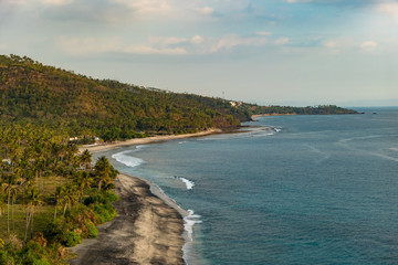 tropical beach with palms