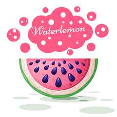 Watermelon cute illustration on the white background.