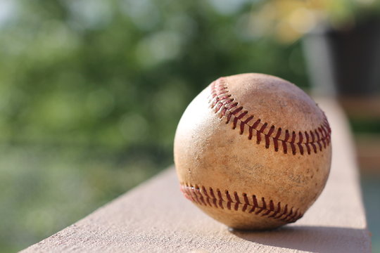 Baseball On A Bench In A Little League Field 