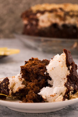 Half-eaten chocolate cake on a plate. Vertical. Light background.