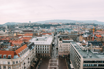 Fototapeta na wymiar view of the budapest city
