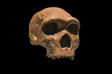 isolated old human skull on black background