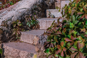 stone steps