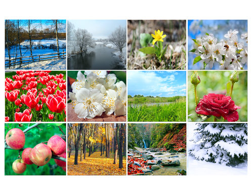 Blank with twelve colored images of nature for calendar