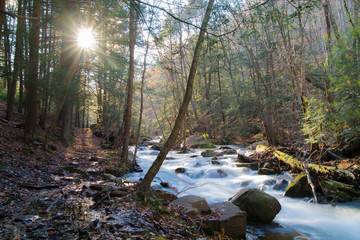 Sun Shines Through Forest Trees Illuminating Hiking Trail And Mountain Stream