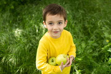 Cute little boy picking apples in a green grass background at sunny day. Healthy nutrition.