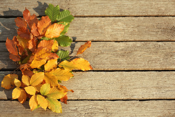 Bunch of bright autumn leaves on wooden background, top view with space for text