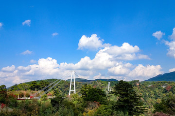 九重夢大吊橋　紅葉