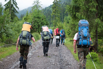 Group of tourists went to mountain forest for extreme advnture