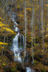 Breath Taking Autumn Scenery, Spring Cascading Off Cliff Saturated In Golden Yellow Foliage
