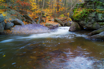 Autumn Mountain Stream High Contrast And Highly Saturated Foliage Scene
