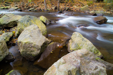 All Natural Sping Water Flowing Through Forest Saturated With Autumn Colors