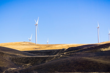 Wind turbines on the golden hills of east San Francisco bay area; burnt grass in the foreground; Altamont Pass, Livermore, California