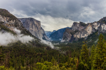 Yosemite National Park