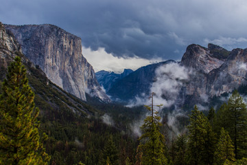 Naklejka premium Yosemite National Park
