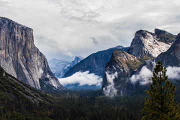 Fototapeta na wymiar Yosemite National Park