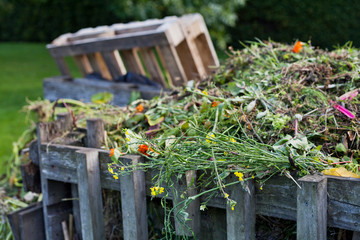 Organic compost in the permaculture farm  - sustainable food forest production.