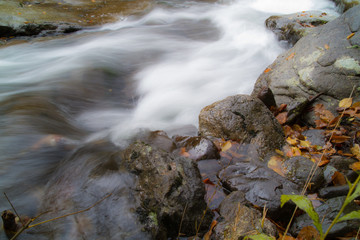 Late Autumn In Pennsylvania Along A Pocono Mountain Stream 