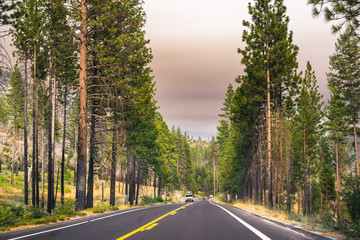 Driving through Yosemite National Park; filtered light due to the smoke coming from Ferguson Fire covering the sky, California