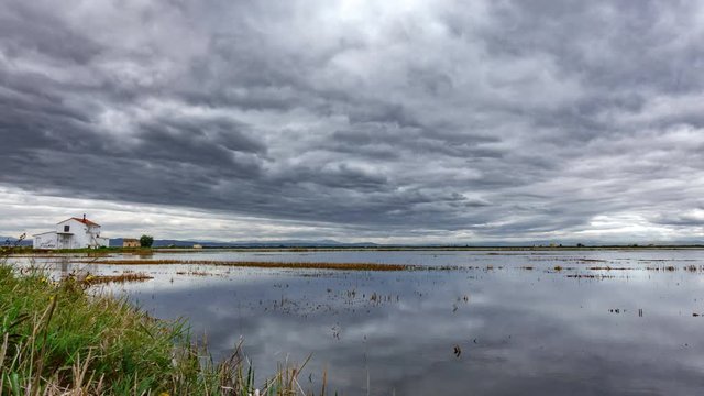 Time lapse of flooded rice field in Valencia