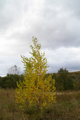 Colorful, Cold And Cloudy Pennsylvania Mountain Autumn Scene