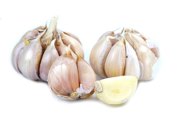 Garlic herb on white background