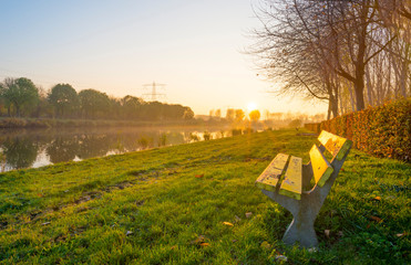 Sunset over the shore of a river along trees at fall
