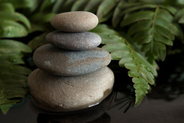 Mindful garden