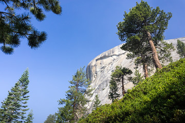 Landscape in Yosemite National Park with pine trees and steep granite dome on a blue sky background; Sierra Nevada mountains, California