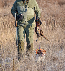 Hunter with a dog on a leash carries a downed bird Epagneul Breton, spaniel breton, Brittany Spaniel, Bretonischer Spaniel.