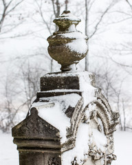 winter storm in a rural cemetery