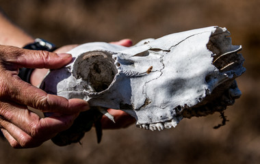 Greenland adventure travel