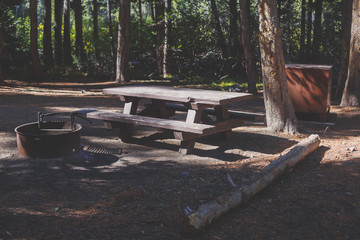 View of american camping place, campground, with table, fire pit, bench and bearproof food lockers in California, Mammoth Lakes, Inyo National Forest, United States