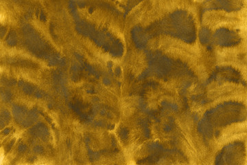 Gold luxury ink and watercolor textures on white paper background. Paint leaks and ombre effects. Hand painted abstract image.