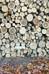 large pile of some wood sawn logs-rustic background image