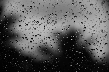 line drop waters in glass on black and white background