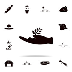 hand holds a plant germ icon. Farm icons universal set for web and mobile