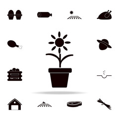 flower in a pot icon. Farm icons universal set for web and mobile